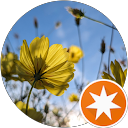 Katherine Ma profile picture