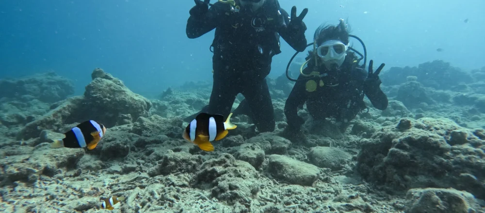 Discover Scuba diving