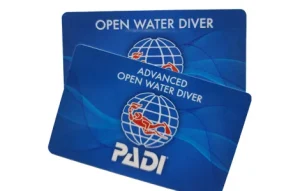PADI Courses